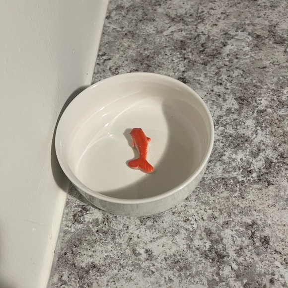 Other - Goldfish Pet Bowl